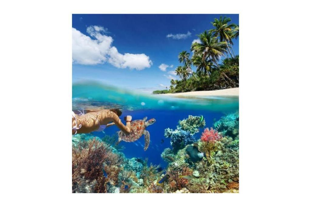 Bleu Verde, The Secret Garden - Turtle Point Beach Gili Trawangan Esterno foto