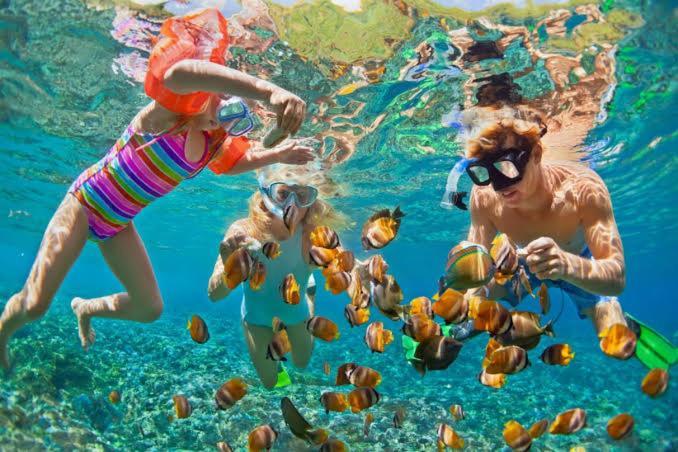 Bleu Verde, The Secret Garden - Turtle Point Beach Gili Trawangan Esterno foto