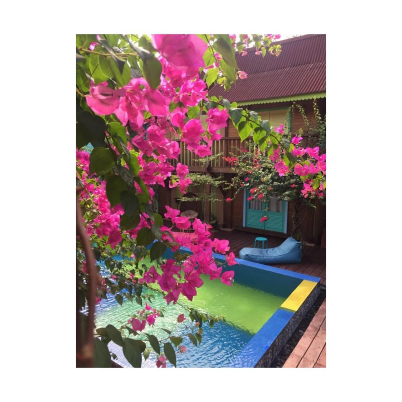 Bleu Verde, The Secret Garden - Turtle Point Beach Gili Trawangan Camera foto